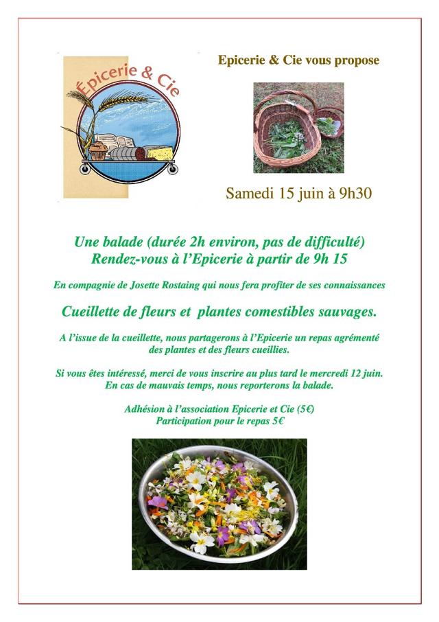 Cueillette de plantes et fleurs comestibles